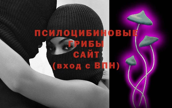 apvp Переславль-Залесский