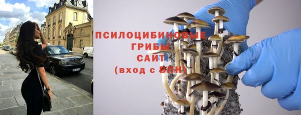 apvp Переславль-Залесский