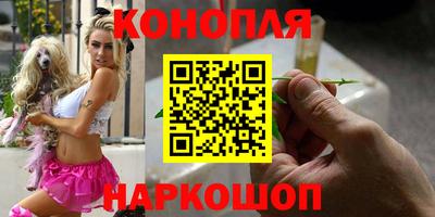 мдпв Гуково