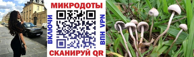 МЕГА ссылки  Курск  Галлюциногенные грибы Cubensis 