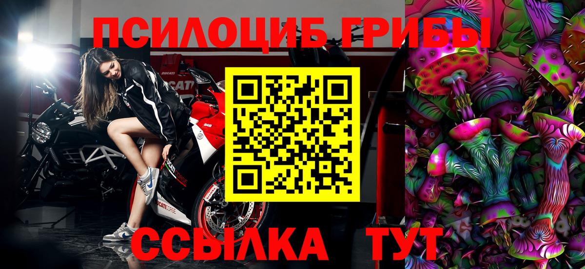 Курск  Галлюциногенные грибы ЛСД  Галлюциногенные грибы Psilocybine cubensis  Вход с VPN 