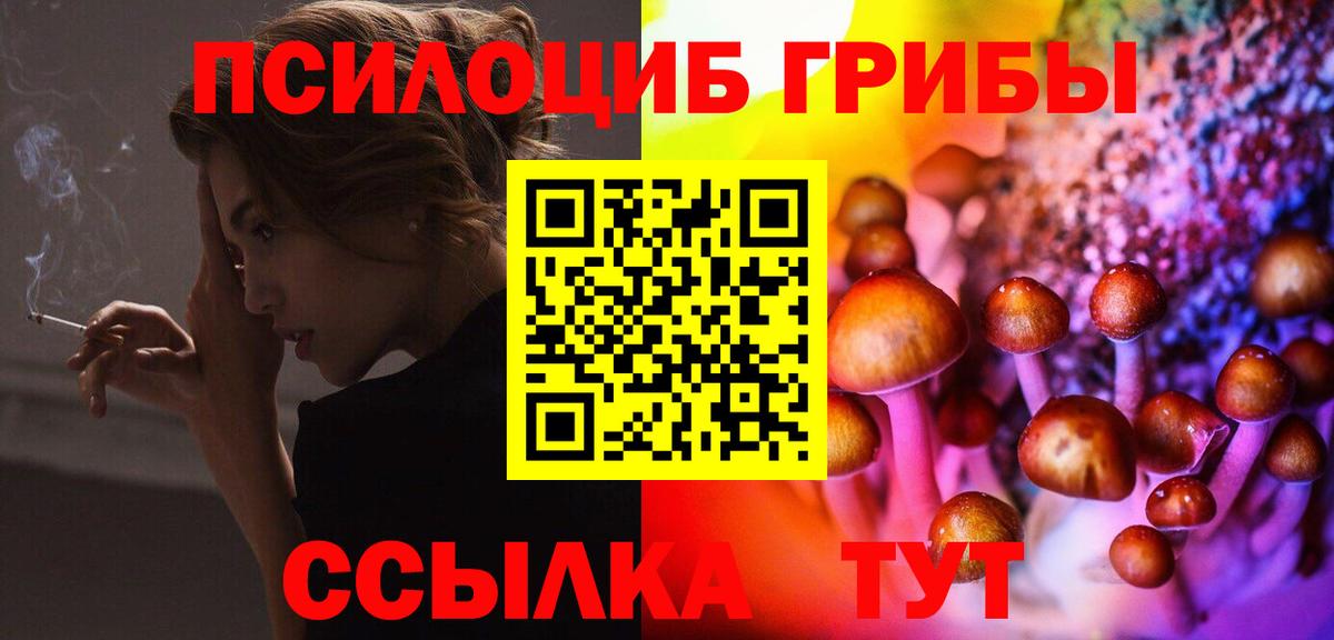 Галлюциногенные грибы мухоморы Курск