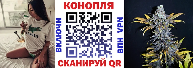 Марихуана план  Курск 